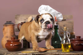 Cane in cucina